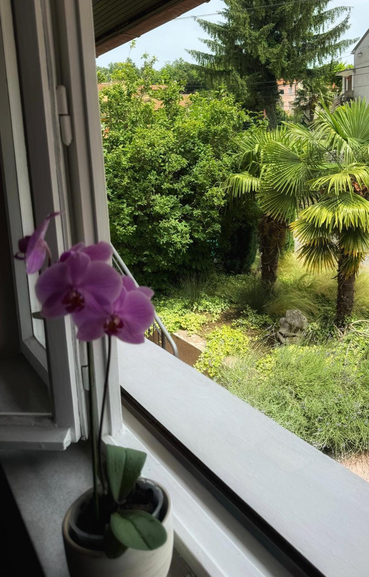 Zogar Apartment Matulji Ngoại thất bức ảnh